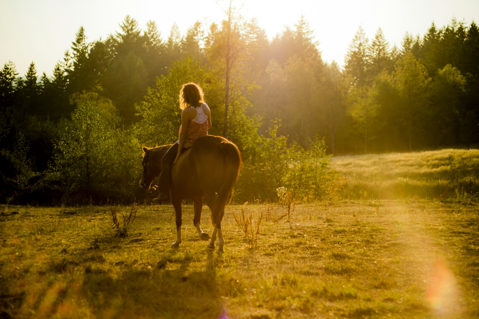 Cavaliere et cheval en harmonie