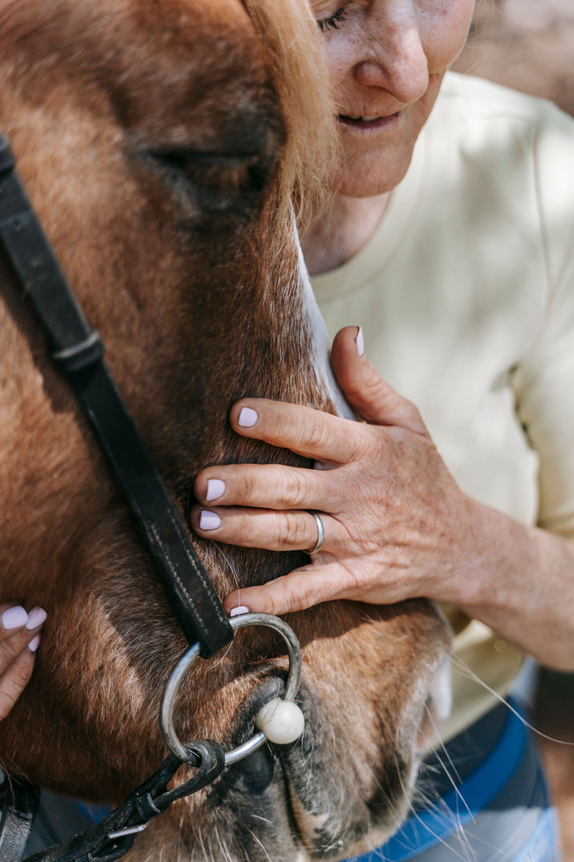 Echange avec le cheval