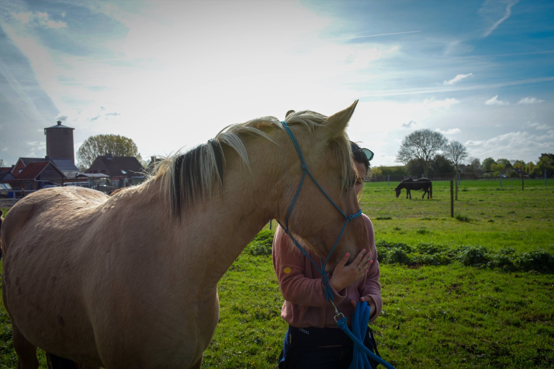 Aline accompagnant un cheval