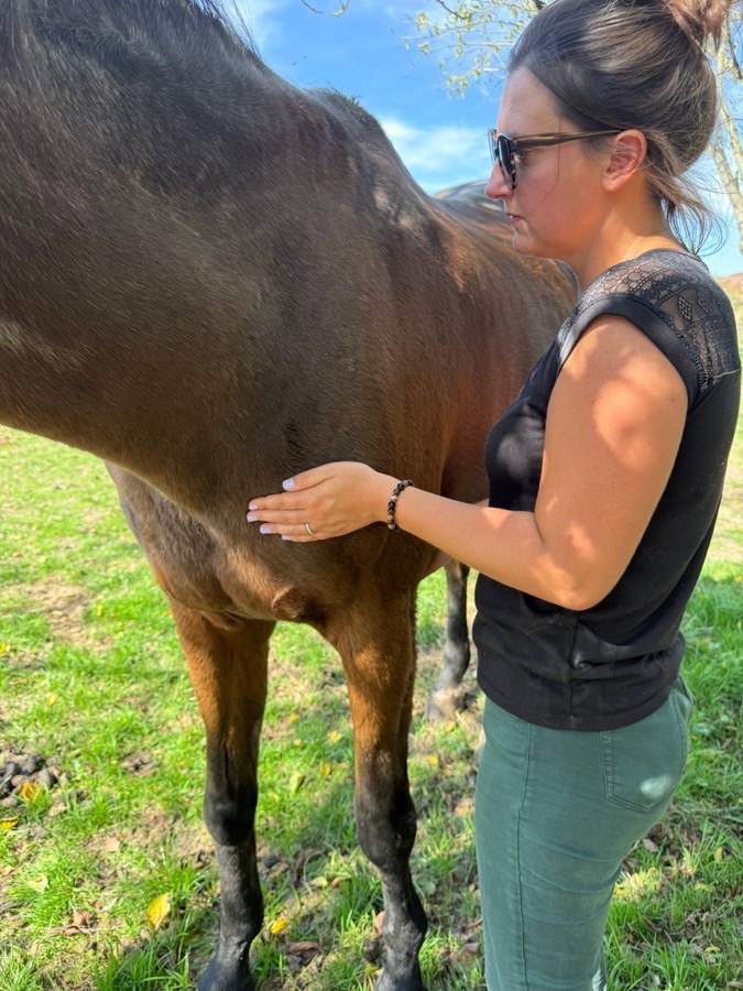 Aline en soin, main posee sur un cheval