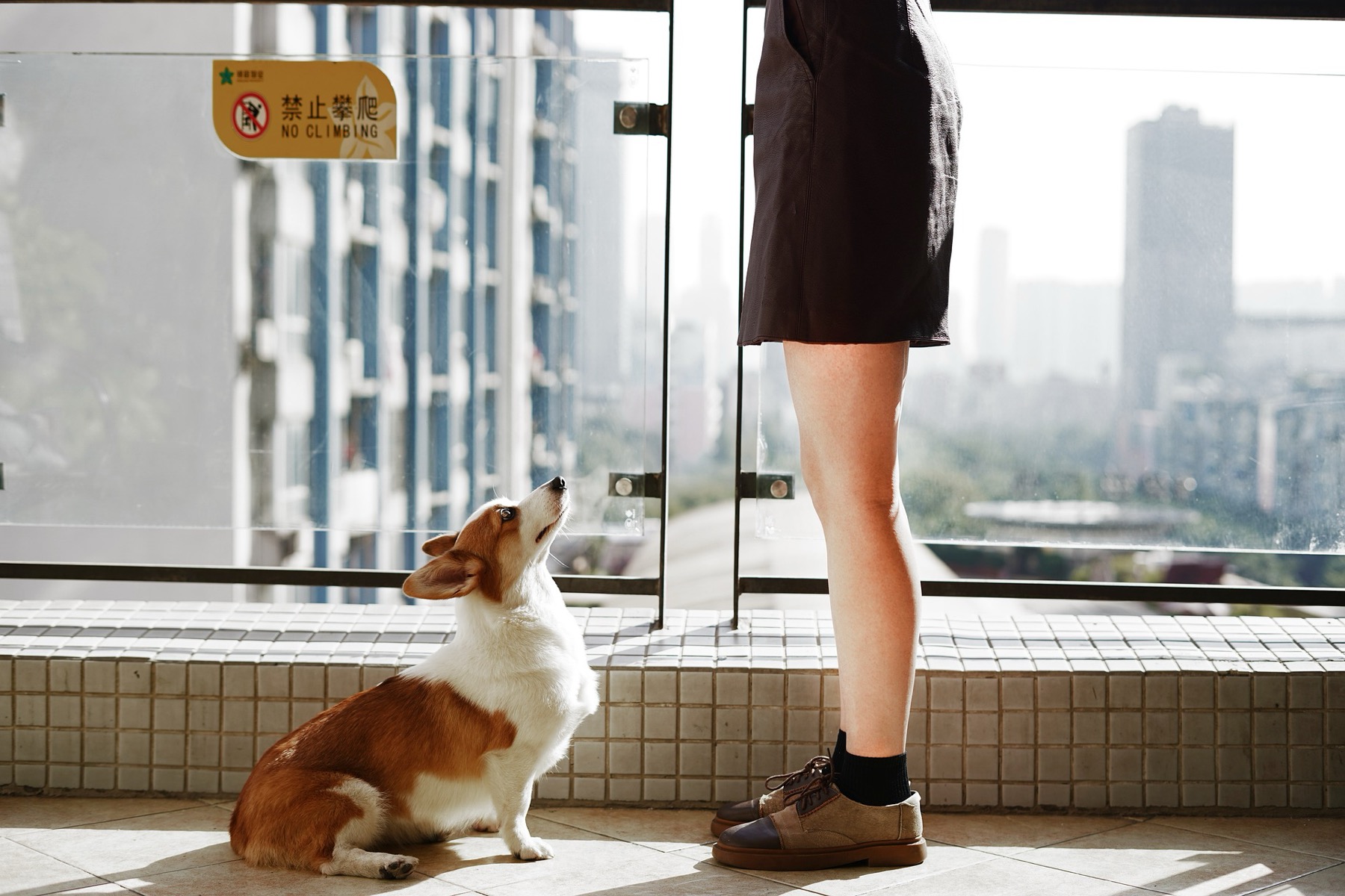 Personne avec son chien